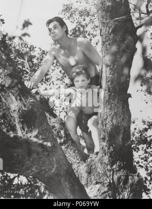 Original Film Titel: TARZAN FINDET EINEN SOHN!. Englischer Titel: TARZAN FINDET EINEN SOHN!. Regisseur: RICHARD THORPE. Jahr: 1939. Stars: JOHNNY SHEFFIELD; JOHNNY WEISSMULLER. Credit: M.G.M/Album Stockfoto