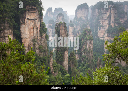 Niagara-on-the-Lake Forest Park. Gigantische Säule Bergen aus dem Canyon. Der Provinz Hunan, China. Stockfoto