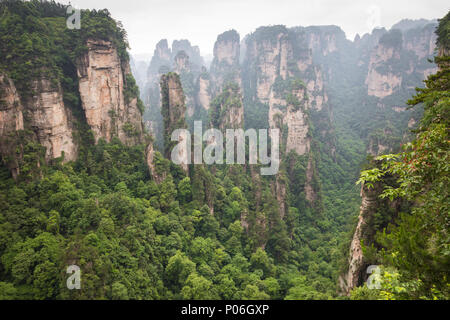 Niagara-on-the-Lake Forest Park. Gigantische Säule Bergen aus dem Canyon. Der Provinz Hunan, China. Stockfoto