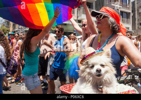 Tel Aviv, Israel. 8 Jun, 2018. Unter der prallen Sonne, 250000 Menschen besuchten von Tel Aviv 20. jährliche Gay Pride Parade. Die Veranstaltung ist das größte seiner Art im Nahen Osten, und Zehntausende von internationalen Touristen in die Feierlichkeiten, in Israel vor allem Fliegen, an der Parade teilzunehmen. Credit: galit Seligmann/Alamy leben Nachrichten Stockfoto