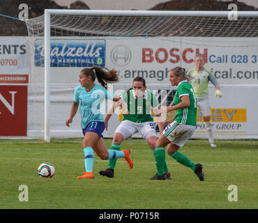 Shamrock Park, Nordirland, Großbritannien. 08. Juni 2018. Women's World Cup 2019 Vorrunde - Gruppe 3, Nord Irland 0 Niederlande 5. Niederlande Lieke Martens (11) in Aktion. Quelle: David Hunter/Alamy Leben Nachrichten. Stockfoto