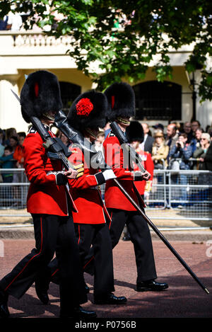 Zeremonielle militärischen Abschnitt 1 Bataillon Coldstream Guards tragen die Farbe auf Horse Guards Parade für die die Farbe 2018 vorangegangen Stockfoto