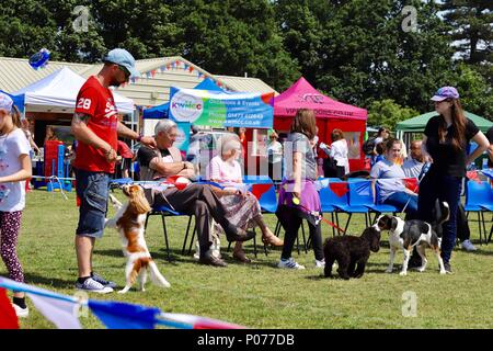 Ipswich, Suffolk, 9. Juni 2018. UK Wetter: Heiß hell und sonnig für die kesgrave Spaß für die ganze Familie Tag und Hund zeigen. Stockfoto