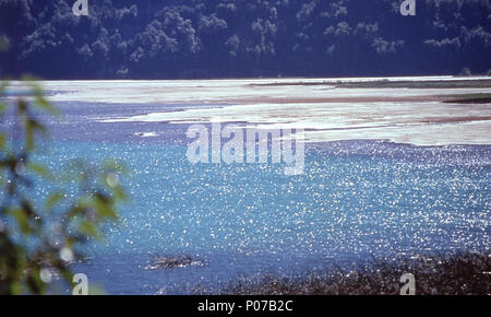 Vicente Pérez Rosales Nationalpark, Todos Los Santos See, Chile 1997 Stockfoto