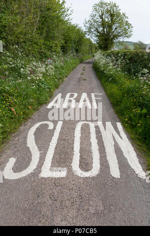 Zweisprachige langsam und Araf Schilder auf der Straße in engen Welsh country lane Autofahrer rechtzeitig zu verlangsamen, lackiert Stockfoto