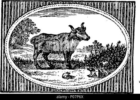 . Englisch: Fleuron aus Buch: ein Führer der Englischen Sprache. In zwei Teile. Die erste, richtige für Anfänger, eine natürliche und einfache Methode auszusprechen und beide gemeinsamen Worten ausdrücken, und Eigennamen, bei denen besondere Vorsicht hatte der Akzent, zur Vermeidung von bösartigen Aussprache zu zeigen. Die Zweite, für wie einige Reife Urteil Advanced, mit Bemerkungen zu den Klängen der Buchstaben und Diphthongen; Regeln für die wahre Aufteilung der Silben, und die Verwendung von Großbuchstaben, stoppt, und markiert: Mit großen Tabellen der Abkürzungen und die Unterschiede der Worte; und mehrere Alphabete von C Stockfoto