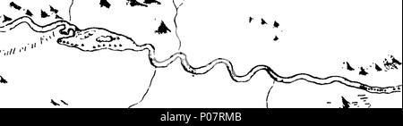 . Englisch: Fleuron aus Buch: eine Reise von der Prince of Wales's Fort in der Hudson's Bay, an der nördlichen Ozean. Im Auftrag von der Hudson's Bay Company, die für die Entdeckung der Kupferminen, North West Passage, &c. in den Jahren 1769, 1770, 1771, and 1772. Von Samuel Hearne. 116 eine Reise von der Prince of Wales's Fort in der Hudson's Bay, an der nördlichen Ozean Fleuron T 146967-15 Stockfoto