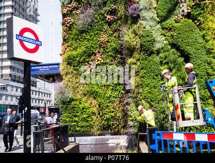 Londoner U-Bahn-Station Edgware Road, mit grünen Wand zur Verringerung der Luftverschmutzung, London, England, UK, GB. Stockfoto