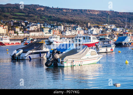 Am frühen Morgen auf den Hafen von Lyme Regis in Dorset, Großbritannien. Stockfoto