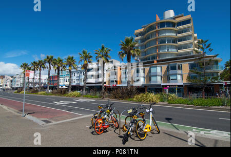 Campbell Parade Bondi Beach Sydney Australien Stockfoto