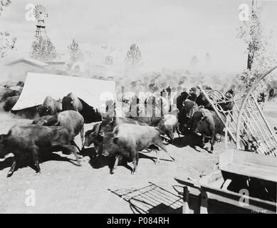 Original Film Titel: DAS WAR DER WILDE WESTEN. Englischer Titel: DAS WAR DER WILDE WESTEN. Regisseur: George Marshall; John Ford; RICHARD THORPE; HENRY HATHAWAY. Jahr: 1962. Credit: M. G. M/CINERAMA/Album Stockfoto