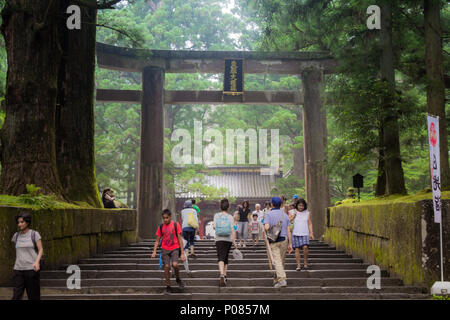 Nikko, Japan - 23. Juli 2017: Eingang der Toshogu Tempel in Nikko National Park, Japan am Nachmittag im Winter. Stockfoto