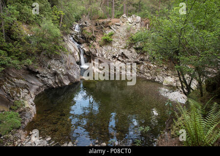 Die Lower Falls der Bruar, in der Nähe von Blair Atholl, Perth und Kinross, Schottland. Stockfoto