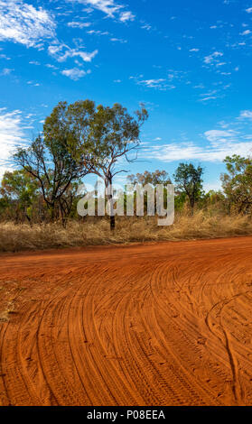 Gibb Herausforderung 2018 Eukalyptus Gummi Bäume rot pindan dirt road Gibb River Road Kimberley WA Australien. Stockfoto