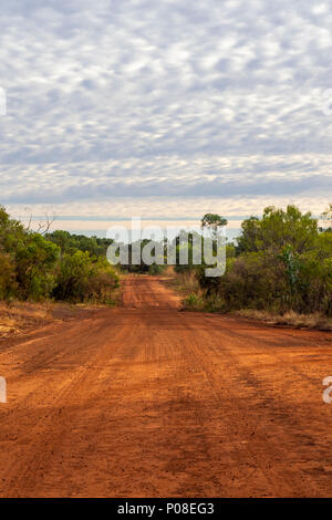 Gibb Herausforderung 2018 Eukalyptus Gummi Bäume rot pindan dirt road Gibb River Road Kimberley WA Australien. Stockfoto