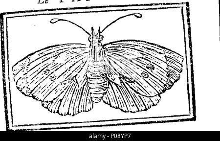 . Englisch: Fleuron aus Buch: Alphabet royal, ou guide Kommode & angenehm dans l'art de Lire, Pour servir D'Einführung Au Cercle des Sciences. Autorite Publie par. 281 Alphabet royal, ou guide Kommode und angenehmen dans l'art de Lire, Pour servir D'Einführung Au Cercle des Sciences Fleuron T 188888-9 Stockfoto