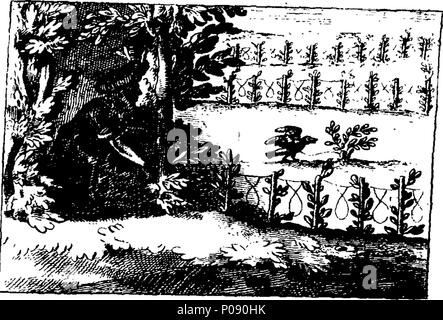 . Englisch: Fleuron aus Buch: amüsante und lehrreiche Fabeln in Französisch und Englisch. In Abschnitte unterteilt, und die zwei Sprachen fast wörtlich antwortete, für das Größere Conveniency von Lernenden. Das Ganze illustriert mit Kupferplatten. Design würde hauptsächlich für Schulen. 284 amüsante und lehrreiche Fabeln in Französisch und Englisch Fleuron T 194442-42 Stockfoto