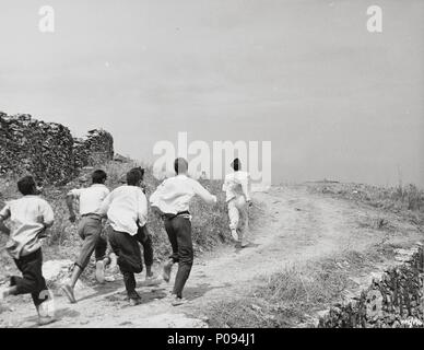 Original Film Titel: Plötzlich IM LETZTEN SOMMER. Englischer Titel: Plötzlich IM LETZTEN SOMMER. Regisseur: Joseph L.MANKIEWICZ. Jahr: 1959. Quelle: Columbia Pictures/Album Stockfoto