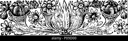 . Englisch: Fleuron aus Buch: Eine neue kritische Überprüfung der Publick Gebäude, Statuen und Verzierungen, in und um London und Westminster. Mit Überlegungen über den Einsatz der Großherzogliche Denkmäler; wie auch eine Regelung erweist die Dimensionen der Kirche St. Peter in Rom und der St. Paul's Cathedral in London; und ein Vorwort, ein Essay über den Geschmack. Für alle, die ergänzt wird, ist ein Anhang, in dem ein Streit zwischen den wöchentlichen Miscellany und der Autor; und ein compleat alphabetischen Index. 145 Eine neue kritische Überprüfung der Publick Gebäude, Statuen und Verzierungen, in und um London und Westminster Fleuron T Stockfoto