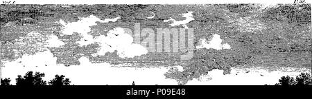 . Englisch: Fleuron aus Buch: eine neue Anzeige der Schönheiten von England: oder, eine Beschreibung der Elegantesten oder prächtige öffentliche Gebäude, königliche Paläste, Adligen und Sitze der Herren, und andere Kuriositäten,... in verschiedenen Teilen des Königreichs. Mit einer Vielzahl von kupferplatte Schnitte, ordentlich graviert verziert. Band der ersten. 147 Eine neue Anzeige der Schönheiten von England - oder Fleuron N 010014-7 Stockfoto