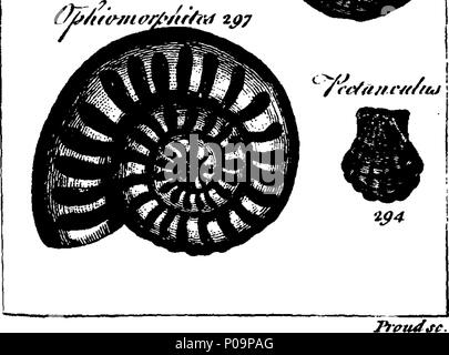 . Englisch: Fleuron aus Buch: Eine neue und präzise System der natürlichen Geschichte. In sechs Bänden. Mit, I. Die Geschichte der Vierbeiner, einschließlich Amphibischen Tiere, Frösche und Eidechsen. Ii. Die Geschichte der Vögel, mit der Methode, die der singende Art. Iii. Die Geschichte der Fische und Schlangen, einschließlich Meeresschildkröten, Crustaceous und Shell Fische. Zu denen hinzugefügt wird, wird die ganze Kunst des Schwimmers und Angeln, die besten Regeln Fliegen für die Wahl der angehen, und eine Beschreibung der natürlichen und künstlichen Köder. Iv. Die Geschichte der Insekten. V. Die Geschichte der Gewässer, Erden, Steine, Fossilien, und Meine Stockfoto