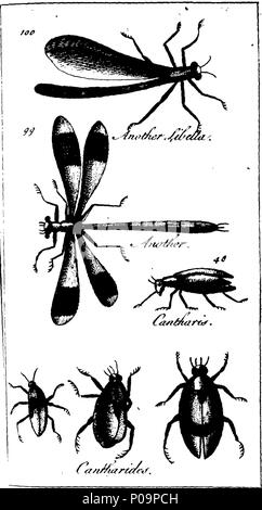 . Englisch: Fleuron aus Buch: Eine neue und präzise System der natürlichen Geschichte; mit I. Die Geschichte von quadrupedes, einschließlich Amphibischen Tiere, Frösche und Eidechsen, mit ihren Eigenschaften und Verwendungen in der Medizin. Ii. Die Geschichte der Vögel, mit der Methode, die der singende Art. Iii. Die Geschichte der Fische und Schlangen, einschließlich Sea-Turtles, Crustaceous und Shell-Fishes; mit ihren Arzneimitteln verwendet. Iv. Die Geschichte der Insekten, mit ihren Eigenschaften und Verwendungen in der Medizin. V. Die Geschichte der Gewässer, Erden, Steine, Fossilien und Mineralien; mit ihren Tugenden, Eigenschaften und Arzneimittel Stockfoto