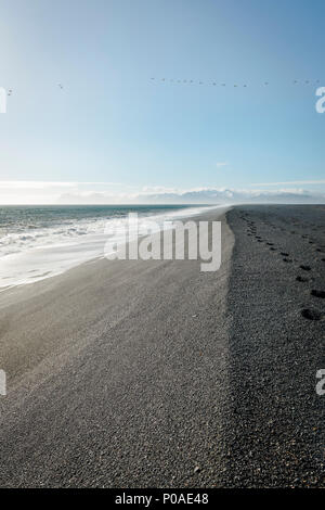 Schwarzer Sandstrand mit Spuren, lava Strand, schneebedeckte Berge im Rücken, Hvalnes Nature Reserve, South Island, Island Stockfoto