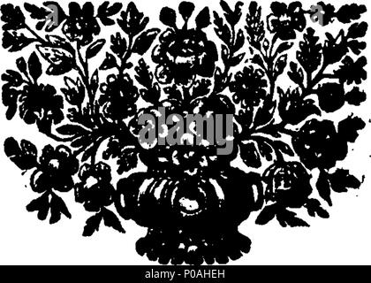 . Englisch: Fleuron aus Buch: eine neue Spanische Grammatik, perfekter, als alle bisher veröffentlichen würde. Alle Fehler der ehemaligen korrigiert werden und die Regeln für das Lernen dieser Sprache viel Improvisation. Zu dem wird hinzugefügt, ein Vokabular von die nötigsten Worte: Auch eine Sammlung von Redewendungen und Dialoge zu Vertrauten Diskurs angepasst. Durch Kapitän John Stevens, Autor des großen spanischen Wörterbuch. Die zweite Ausgabe. Die ganze verbessert, korrigiert, und geändert, von Sebastian Puchol, D.D. 158 Eine neue Spanische Grammatik, perfekter, als alle bisher veröffentlichen 'Fleuron T 134798-24 Stockfoto