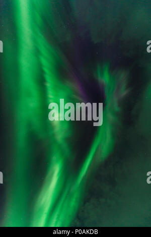 Night Shot, Nordlichter (Aurora Borealis), Austurland, Ost Island, Island Stockfoto