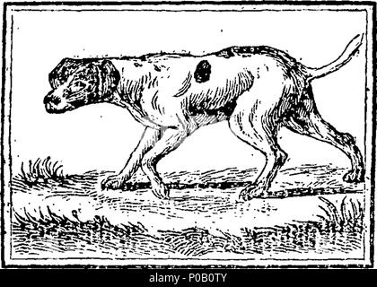 . Englisch: Fleuron aus Buch: Eine neue moralische System der natürlichen Geschichte, oder, die Schönheiten der Natur angezeigt, in der die meisten Singular, neugierig, und schöne Vierbeiner und Vögel, zu denen hinzugefügt werden, in der Geschichte der englischen Song Vögel, praktische Anweisungen für chusing, Zucht, Fütterung, und sie lehrt alles zu singen. 156 Eine neue moralische System der natürlichen Geschichte Fleuron T 112714-36 Stockfoto