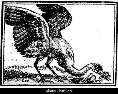 . Englisch: Fleuron aus Buch: Eine neue moralische System der natürlichen Geschichte, oder, die Schönheiten der Natur angezeigt, in der die meisten Singular, neugierig, und schöne Vierbeiner und Vögel, zu denen hinzugefügt werden, in der Geschichte der englischen Song Vögel, praktische Anweisungen für chusing, Zucht, Fütterung, und sie lehrt alles zu singen. 156 Eine neue moralische System der natürlichen Geschichte Fleuron T 112714-50 Stockfoto