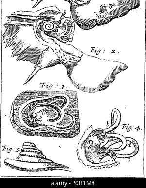 . Englisch: Fleuron aus Buch: Eine neue rationale Anatomie, mit einer Erklärung für die Verwendung der Struktur des Körpers des Menschen und andere Tiere, die nach den Regeln des mechanicks. Von Daniel Tauvry, ein Mitglied der Colledge der Ärzte in Paris. Aus Englisch ab der dritten Ausgabe, revis, korrigiert und Rungsbed durch den Autor. Illustriert mit Skulpturen. 157 Eine neue rationale Anatomie Fleuron T 153620-7 Stockfoto