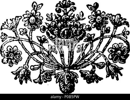 . Englisch: Fleuron aus Buch: Eine anatomische Darstellung der Struktur des menschlichen Körpers. Von James Benignus Winslow, Professor der Physick, Anatomie und Chirurgie an der Universität von Paris, Mitglied der Königlichen Akademie der Wissenschaften, der Royal Society in Berlin, &c. Aus dem Französischen übersetzt, von G. Douglas, M.D. Illustriert mit Kupferplatten. ... 304 Eine anatomische Darstellung der Struktur des menschlichen Körpers Fleuron N 016299-2 Stockfoto