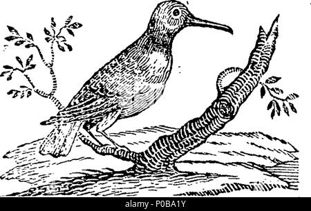 . Englisch: Fleuron aus Buch: Eine einfache Einführung in die Künste und Wissenschaften: eine kurze, aber umfassende hilfreich und höflich zu lernen. Unterteilt in den Unterricht. Illustriert mit Kürzungen und den Einsatz von Schulen und Akademien angepasst. Von R. Turner, 18.06.Lld. Ende der Magdalen Hall, Oxford; Autor von Eine einfache Einführung in die Geographie, &c. 312 Eine einfache Einführung in die Künste und Wissenschaften - eine kurze, aber umfassende hilfreich und höflich lernen Fleuron T 119178-10 Stockfoto