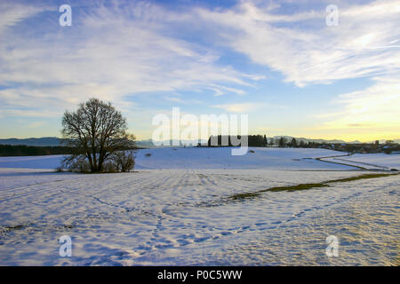 Schneeschmelze im Bayerischen Voralpenland Stockfoto