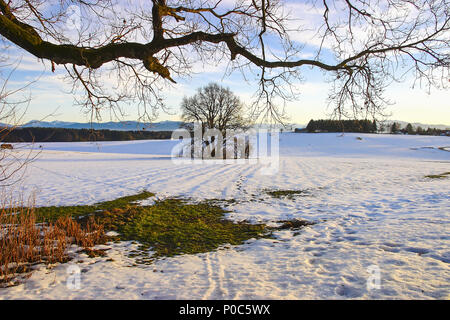 Schneeschmelze im Bayerischen Voralpenland Stockfoto