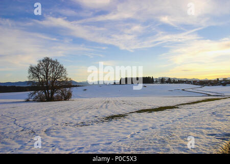 Schneeschmelze im Bayerischen Voralpenland Stockfoto