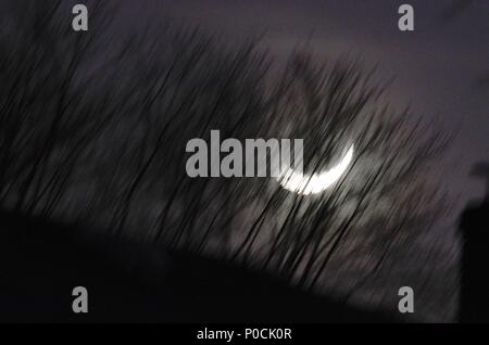 Crescent Moon Rising über Bäume im Herbst Stockfoto