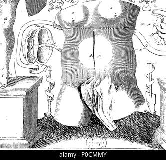 . Englisch: Fleuron aus Buch: eine Umfrage des microcosme: oder, die Anatomie der Körper des Mannes und der Frau. Worin die Haut, Venen, Arterien, Nerven, Muskeln, Innereien, Knochen, Bänder und Gelenke werden genau beschrieben, und so entsorgt werden durch Einfügen, so dass alle Teile der genannten Einrichtungen, sowohl intern als auch extern, sind genau an den richtigen Ort vertreten. Nützlich für alle Ärzte, chyrurgeons, statuaries, Maler, &c. Von Michael Spaher von Tirol, und Remilinus. Durch Clopton Havers, M.D. und Fellow der Royal Society korrigiert. 216 Eine Umfrage der microcosme - oder, die Anatomie der b Stockfoto