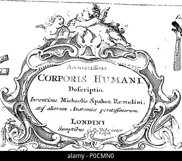 . Englisch: Fleuron aus Buch: eine Umfrage des microcosme: oder, die Anatomie der Körper des Mannes und der Frau. Worin die Haut, Venen, Arterien, Nerven, Muskeln, Innereien, Knochen, Bänder und Gelenke werden genau beschrieben, und so entsorgt werden durch Einfügen, so dass alle Teile der genannten Einrichtungen, sowohl intern als auch extern, sind genau an den richtigen Ort vertreten. Nützlich für alle Ärzte, chyrurgeons, statuaries, Maler, &c. Von Michael Spaher von Tirol, und Remilinus. Durch Clopton Havers, M.D. und Fellow der Royal Society korrigiert. 216 Eine Umfrage der microcosme - oder, die Anatomie der b Stockfoto