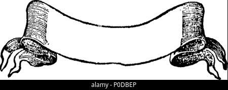 . Englisch: Fleuron aus Buch: ein Muster von gußeisernen Verzierungen auf einen neuen Plan. Von William Caslon, Letter-Founder Seiner Majestät. 207 ein Muster von gußeisernen Verzierungen auf einen neuen Plan. Von William Caslon, Letter-Founder Seiner Majestät. Fleuron T 012613-4 Stockfoto