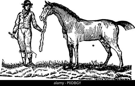 . Englisch: Fleuron aus Buch: ein Muster von gußeisernen Verzierungen, durch Wm Caslon, Brief- Gründer zum König. 207 ein Muster von gußeisernen Verzierungen, durch Wm Caslon, Brief- Gründer zum König. Fleuron N 021712-32 Stockfoto