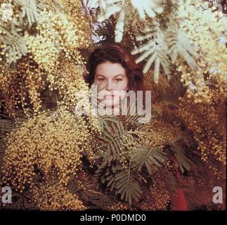 Stars: SILVANA MANGANO. Stockfoto