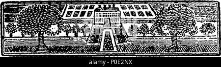 . Englisch: Fleuron aus Buch: eine Rechtfertigung für die Ehre und die Privilegien der Commons von Großbritannien. Mit dem Fall der Ort - Männer im Parlament, unparteiisch betrachtet. 246 eine Rechtfertigung der Ehre und der Privilegien der Commons von Großbritannien Fleuron T 108604-2 Stockfoto