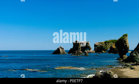 Kap Velikan Riese, Natur Skulptur in Insel Sachalin Russland Stockfoto