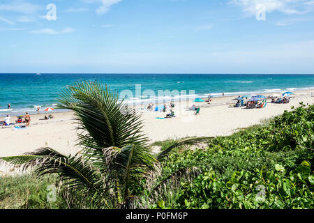 Florida Atlantischer Ozean, Deerfield Beach, Wasser, Sand, Rettungsschwimmerturm, Palme, Vegetation, weibliche Frauen, Sonnenanbeter, FL170725048 Stockfoto