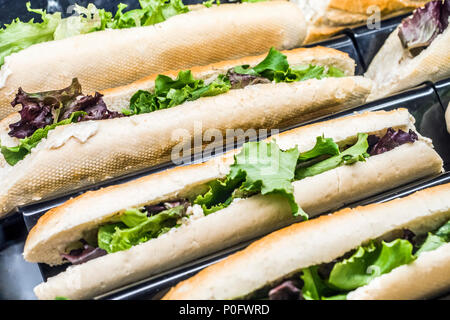 Vier Sandwiches mit grünem Salat und Thunfisch einfügen in Fast food Shop Stockfoto