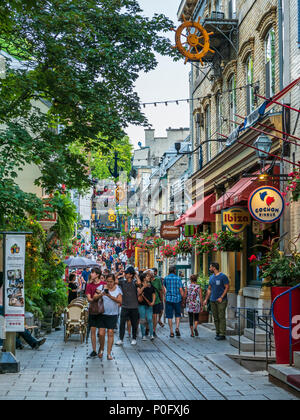 Rue du Vieux Quebec Petit-Champlain, Senken, Altstadt, Quebec City, Kanada. Stockfoto