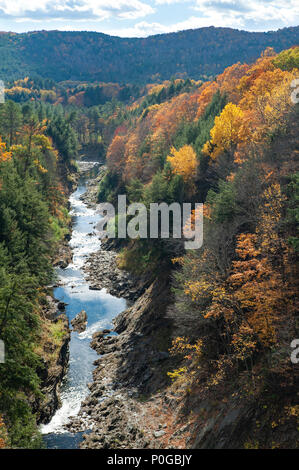 Herbst Farben erhellen die Ottauquechee River und Quechee Gorge in Vermont. Stockfoto