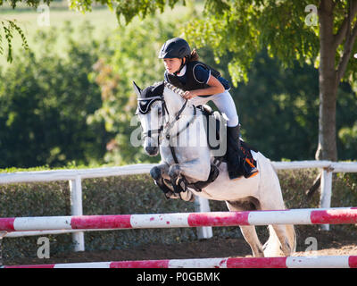 Mädchen mit weißen Pony über die Hürde springen auf equine Wettbewerb Stockfoto